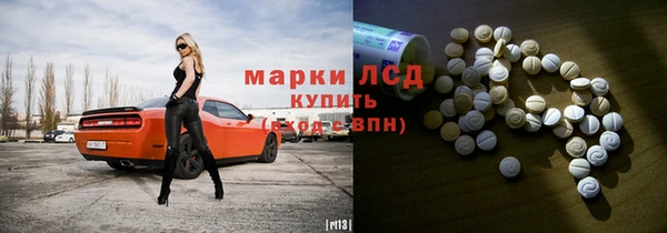 прущие грибы Семикаракорск